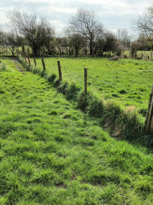 beautiful fields & paddocks 