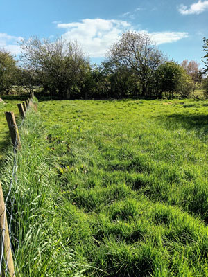 beautiful fields & paddocks 