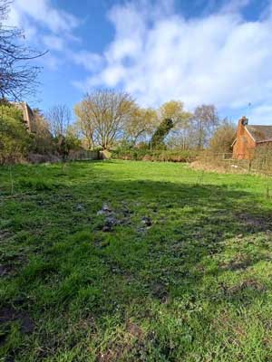 beautiful fields & paddocks 