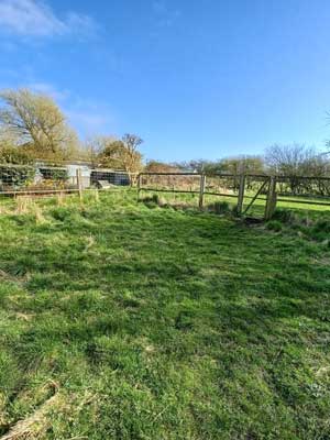 beautiful fields & paddocks 